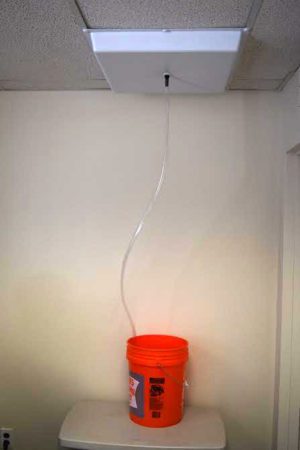 CEILING TILE WATER LEAK COLLECTION COVER